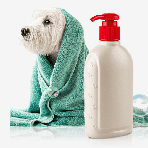 Pet Hygiene