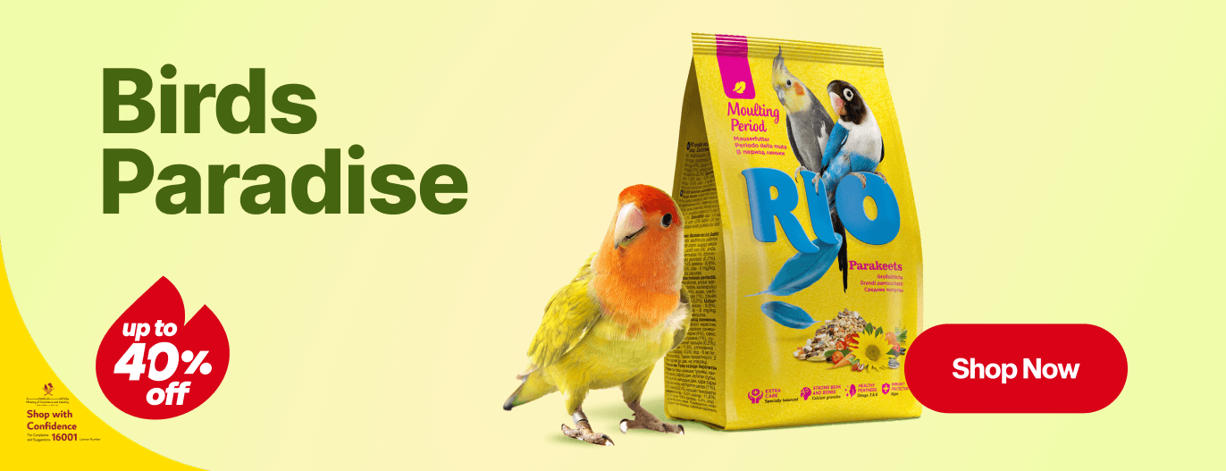 Birds Paradise