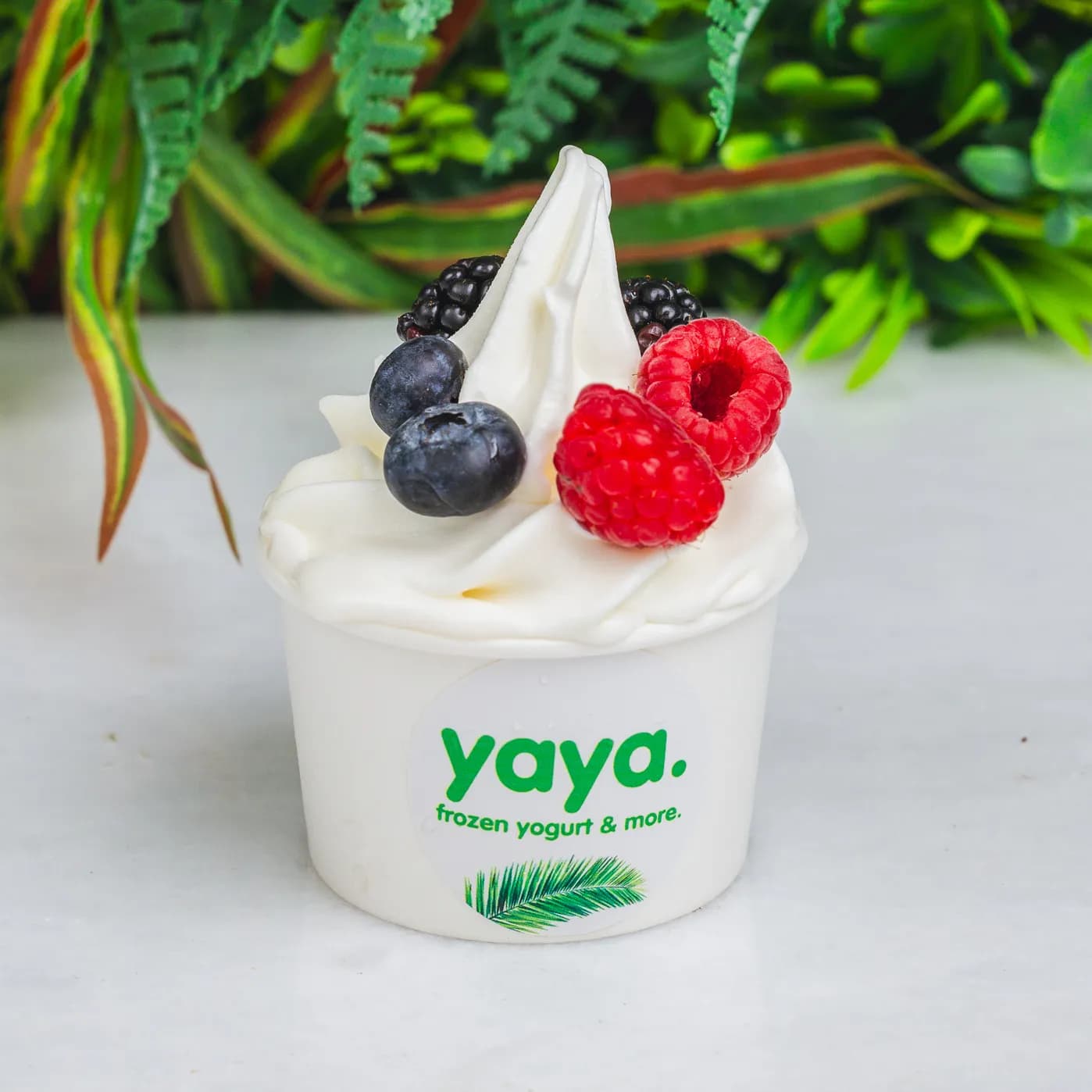 Original Flavour Frozen Yogurt With Toppings