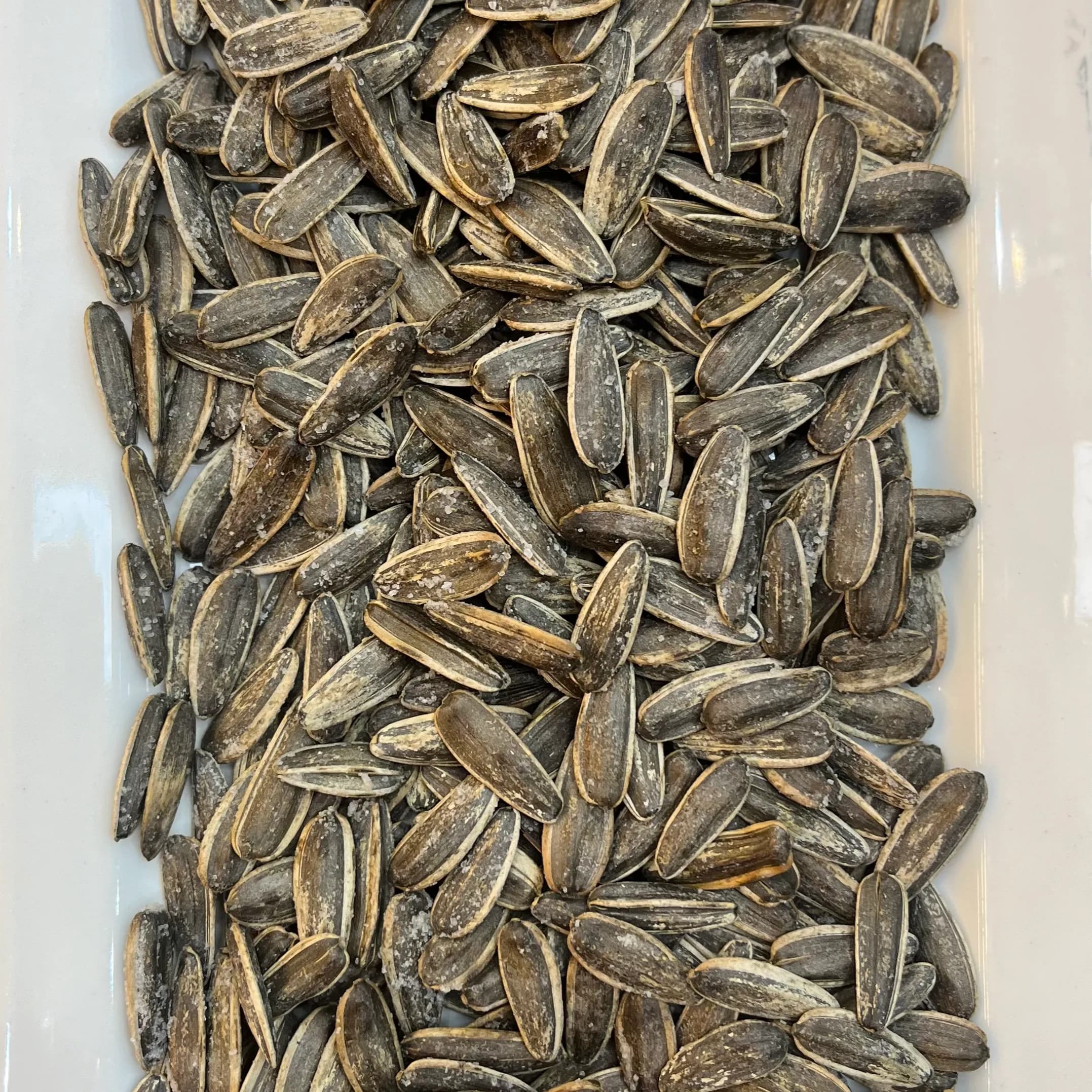 Sunflower Seed