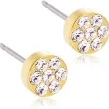 Blomdahl Golden Titanium 5Mm Earring Brilliance Plenary Crystal E