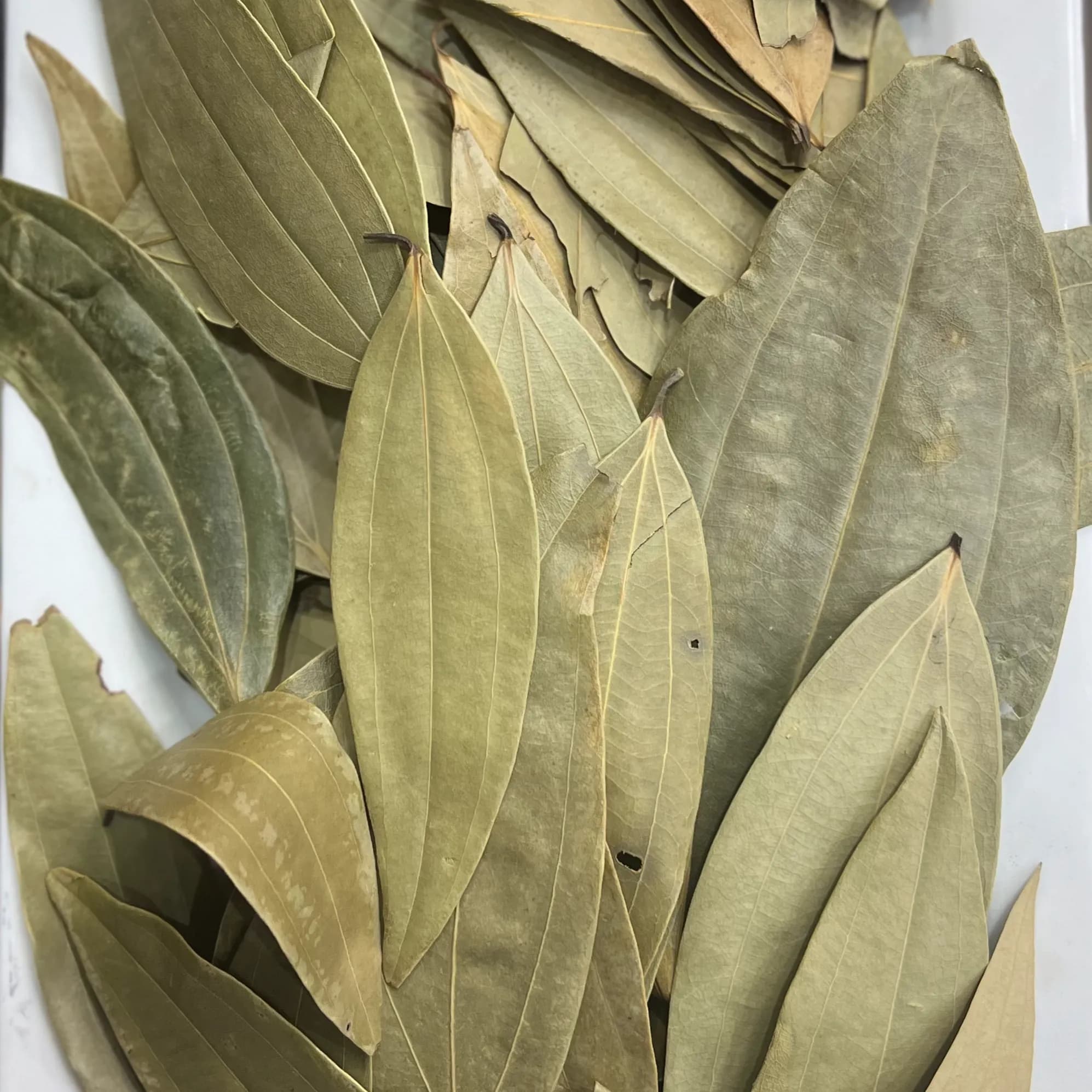 Bay Leaves