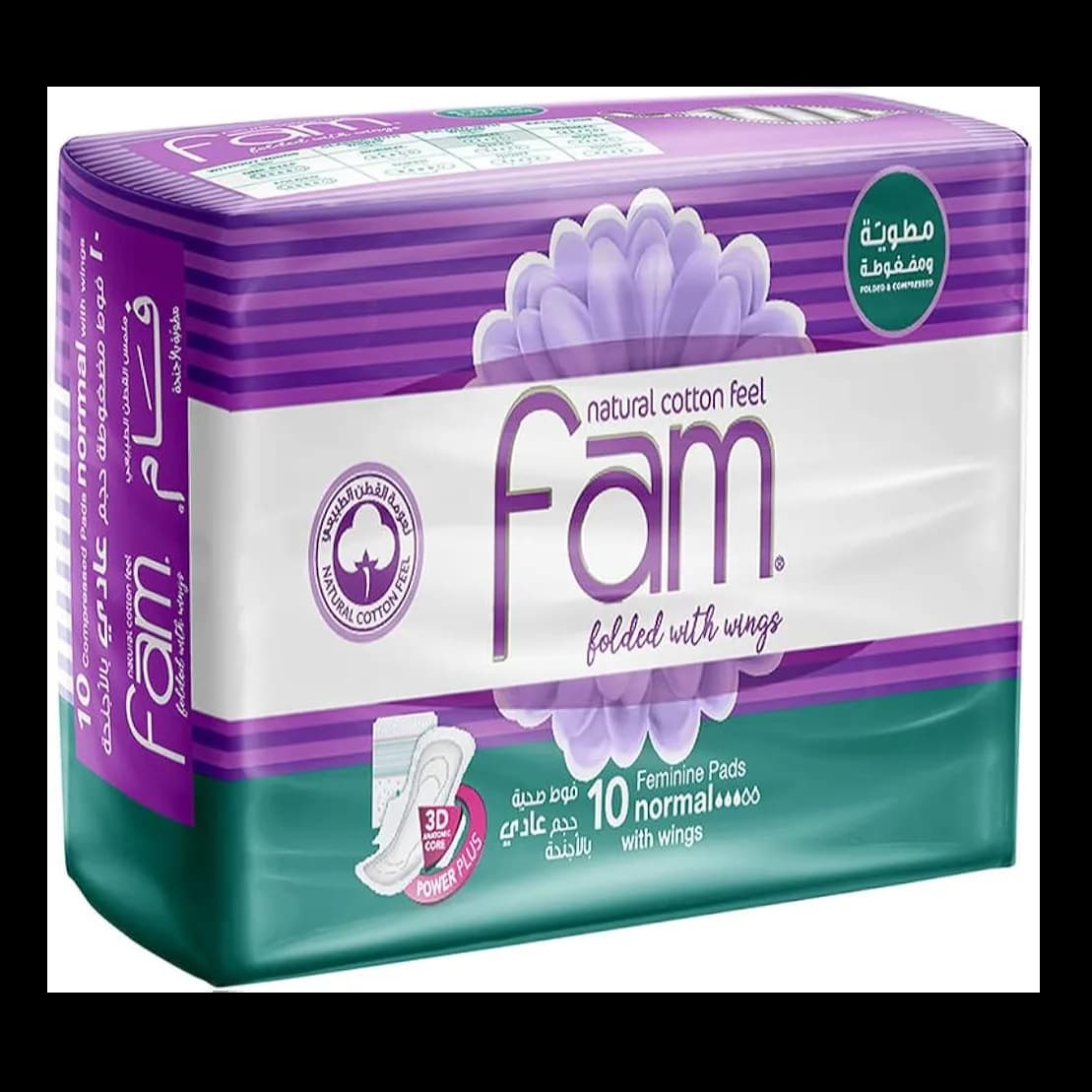 Fam Feminine Pads With Wings 10 Pcs