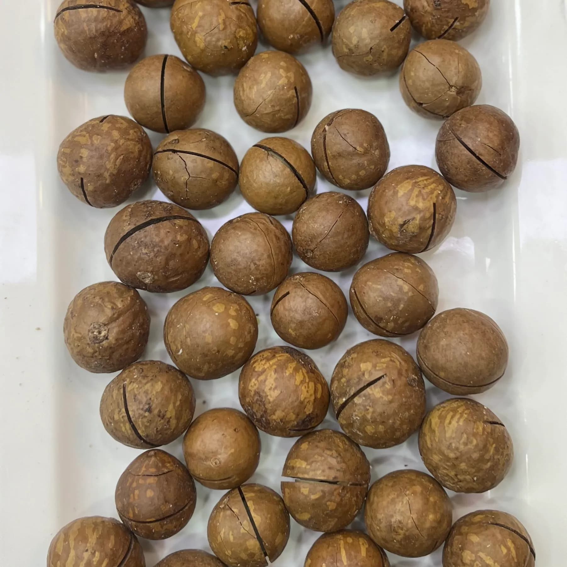 Macadamia Vanilla Roast