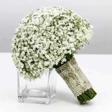 Gypsophilium