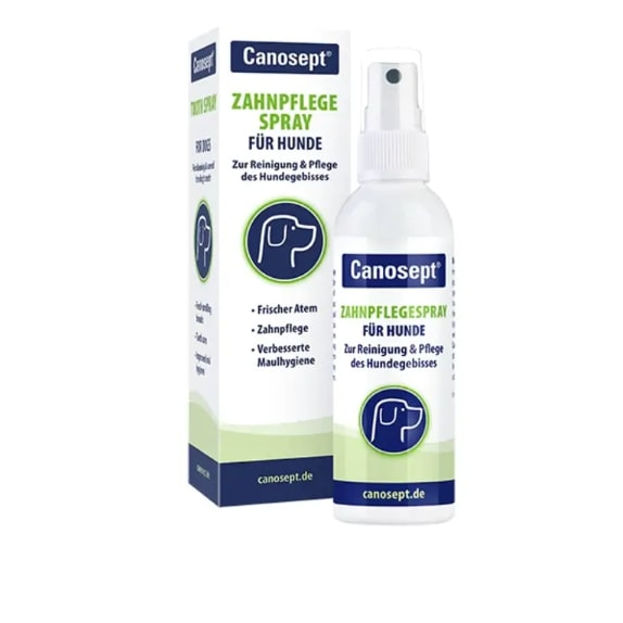 Canosept Tooth Spray (100Ml)

