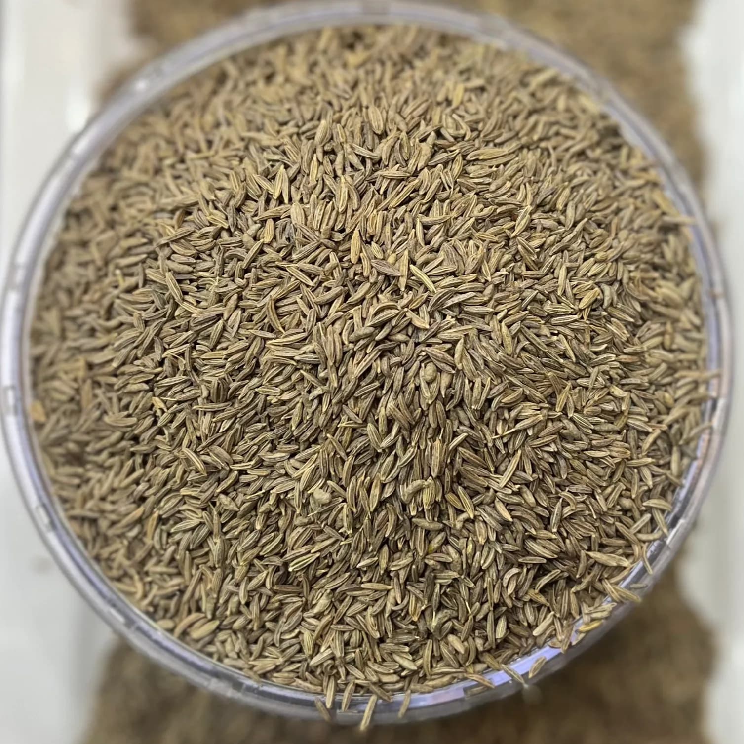 Cumin Seed