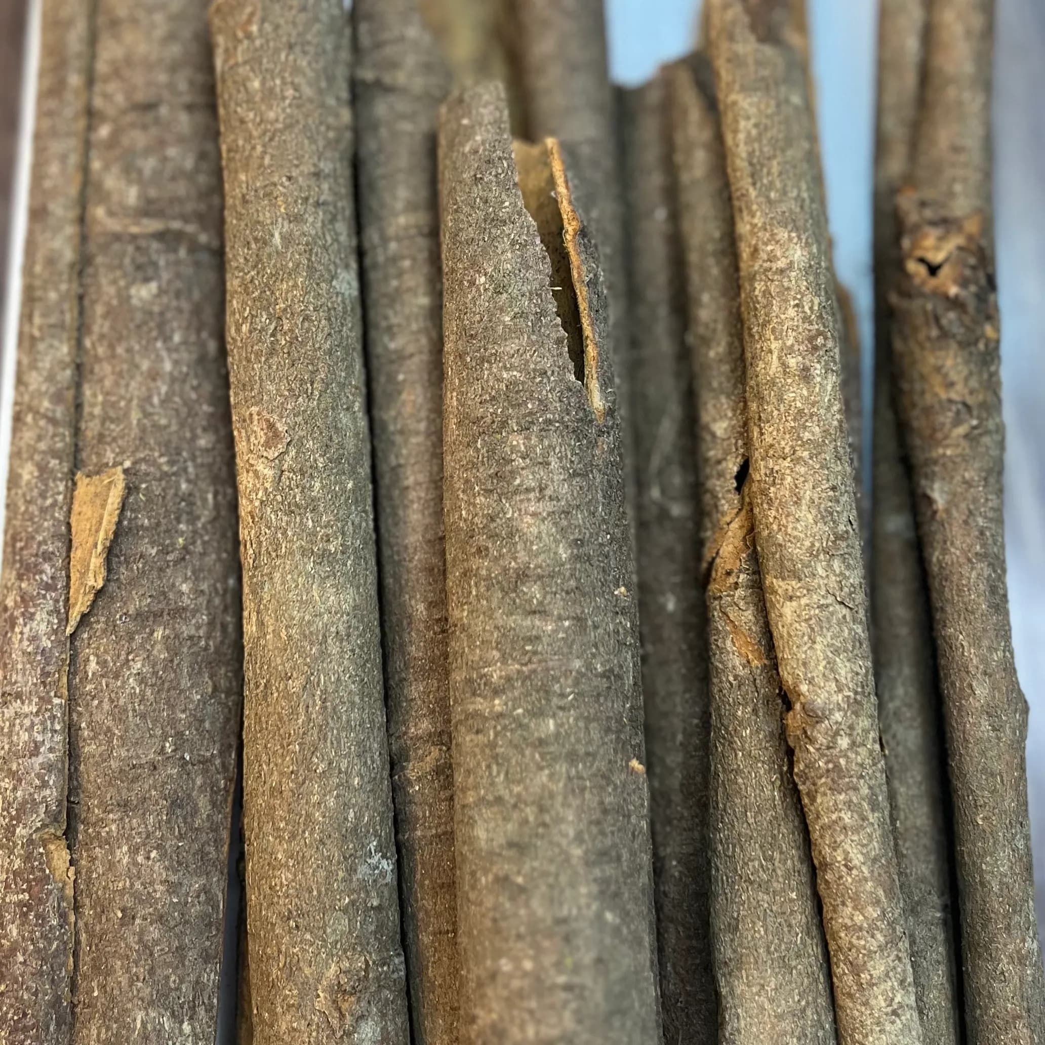 Cassia Tube