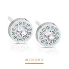 Blomdahl Medical Plastic 6Mm Earring Brilliance Halo Aquamarine Crystal D