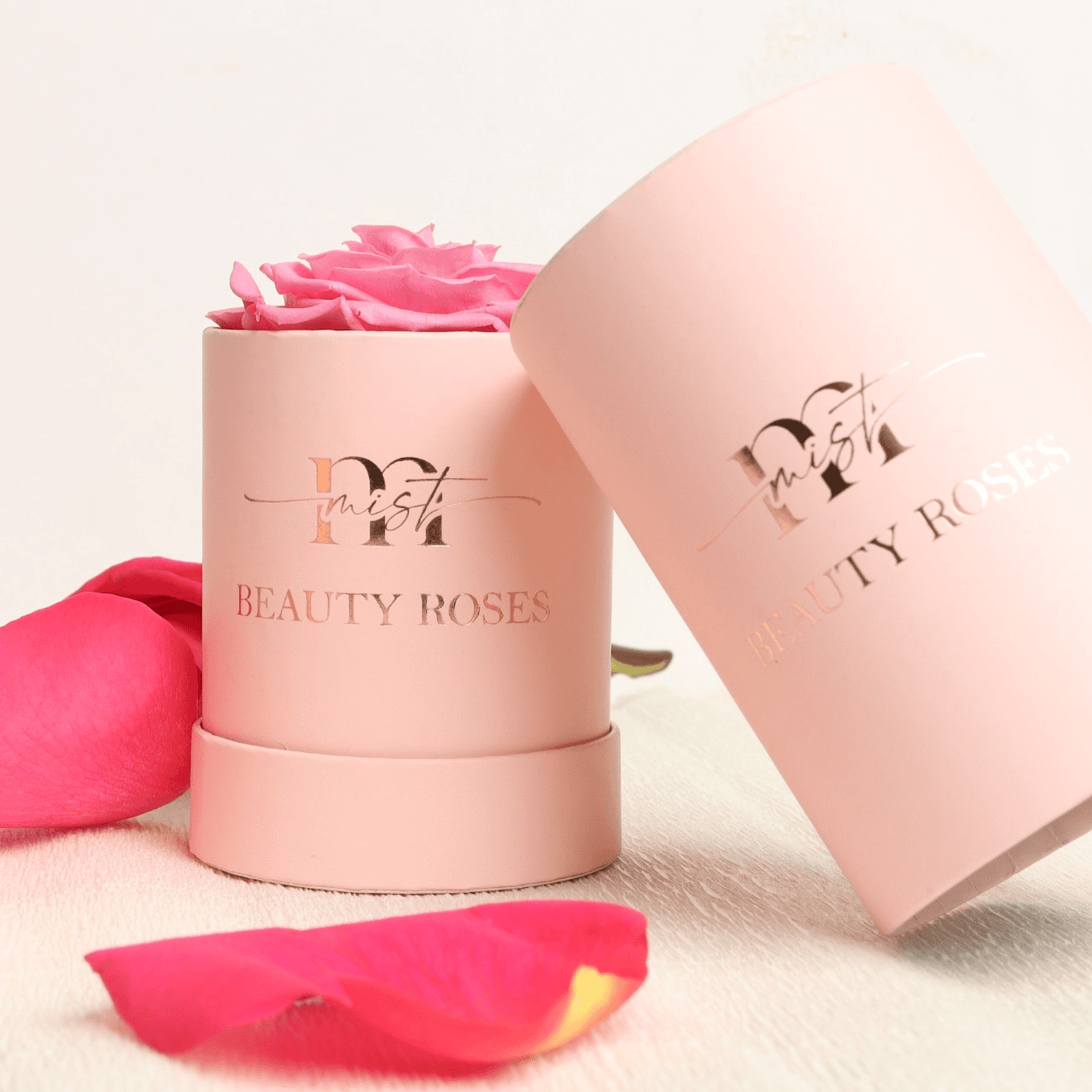 Beauty Roses Natural Preserved - Dark Pink