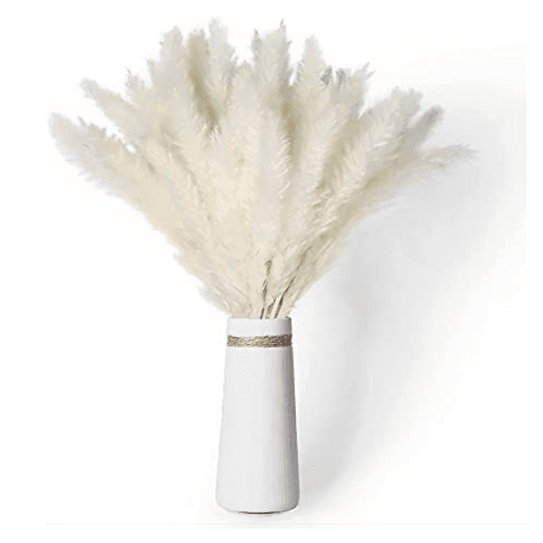 Galaxy 30 Pieces Large Faux Pampas Grass