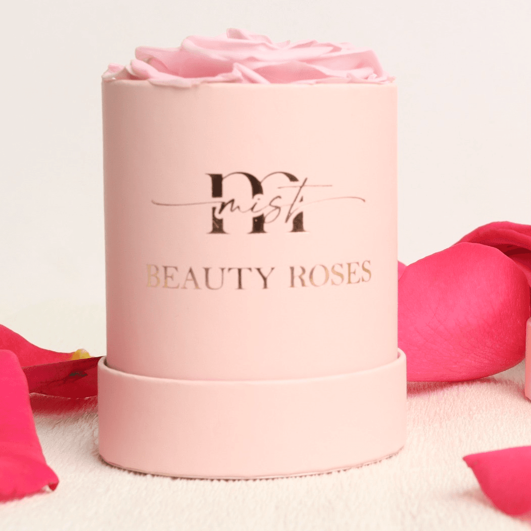 Beauty Roses Natural Preserved - Light Pink