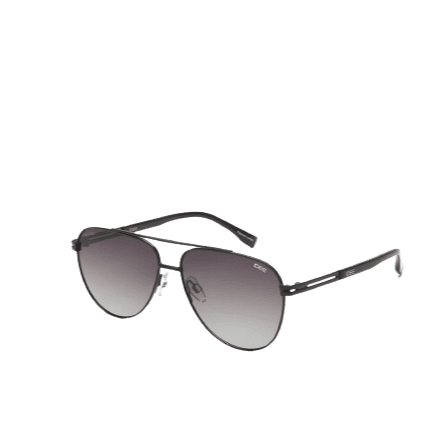 Affordable Elegance, IDEE sunglasses-S2916 C1 P