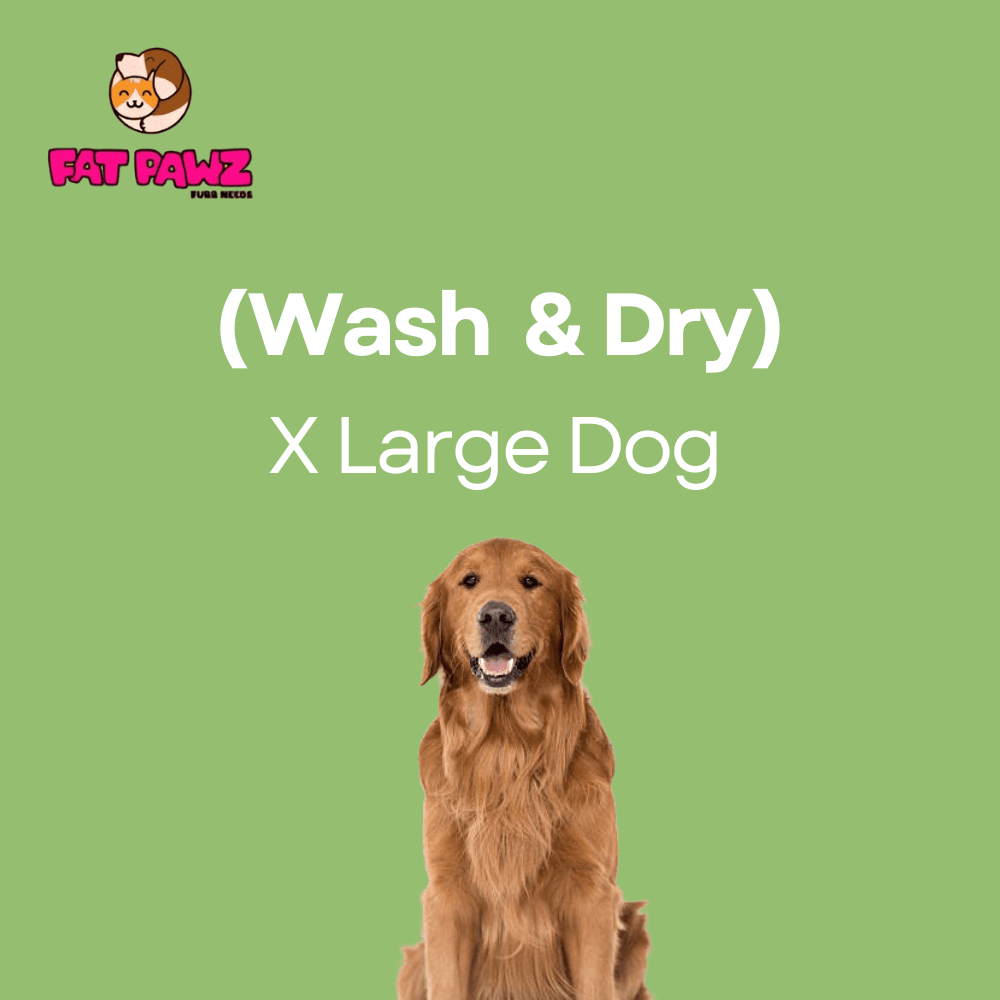 Xl Dog  >35Kgs (Wash and Dry Package)