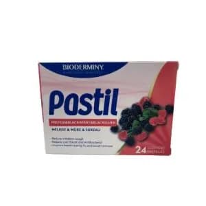 Pastil Lozenges Blackberry 24S