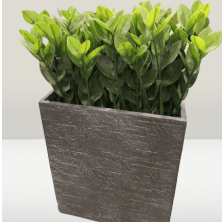 Utah Partition Planter 215 A 60 X 22 X 72 Cm H