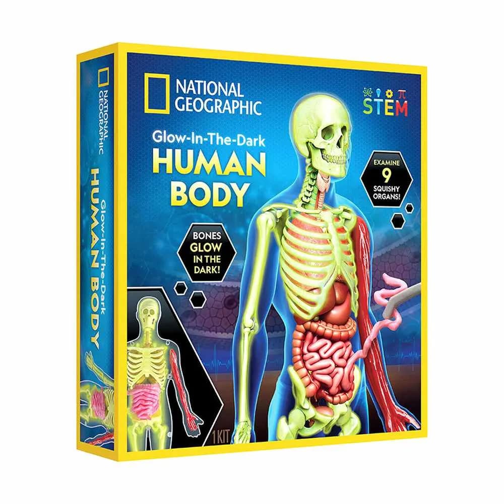 National Geographic Glow-In-The-Dark Human Body Science Kit