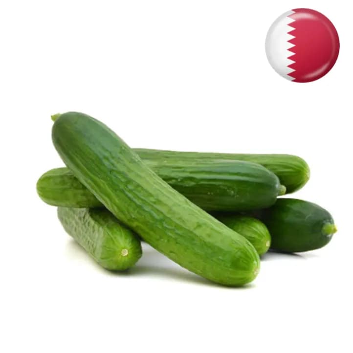 Cucumber Qatar 1Kg