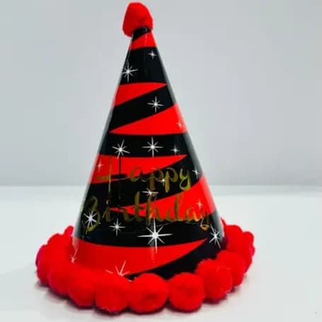 Printed Party Hat