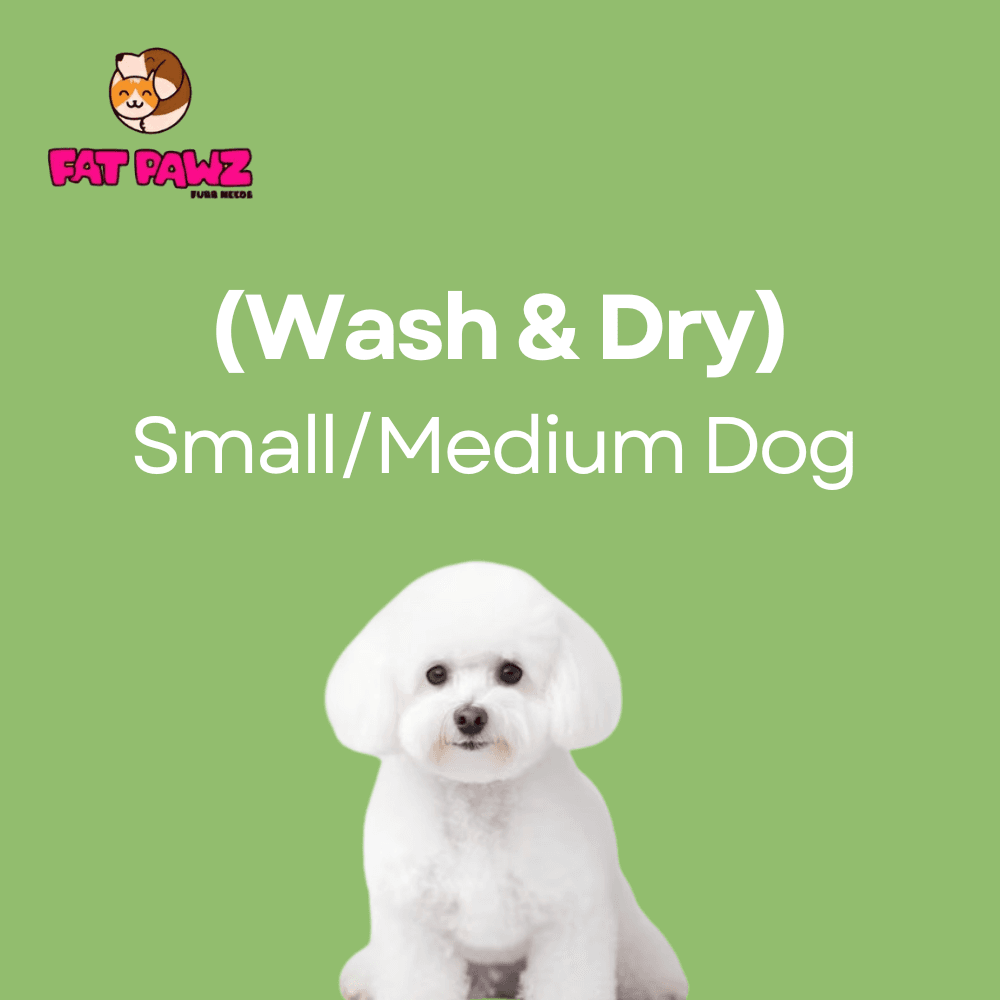 Small/ Medium Dog  <20 Kgs (Wash and Dry Package)