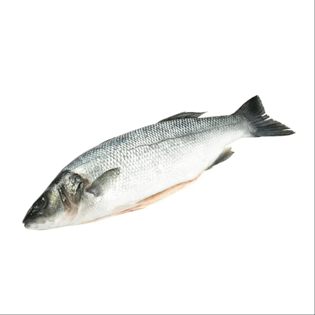 Seabass Whole _approx 400-600 Gm