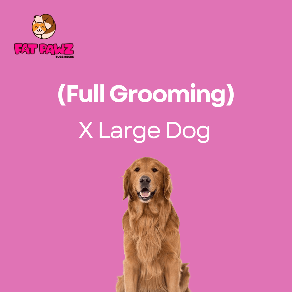 Xl Dog  >35Kgs (Full Grooming)