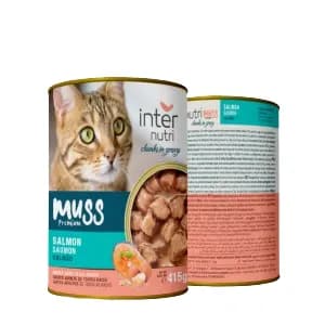 Internutri Cat Wet Food with Salmon 415GM