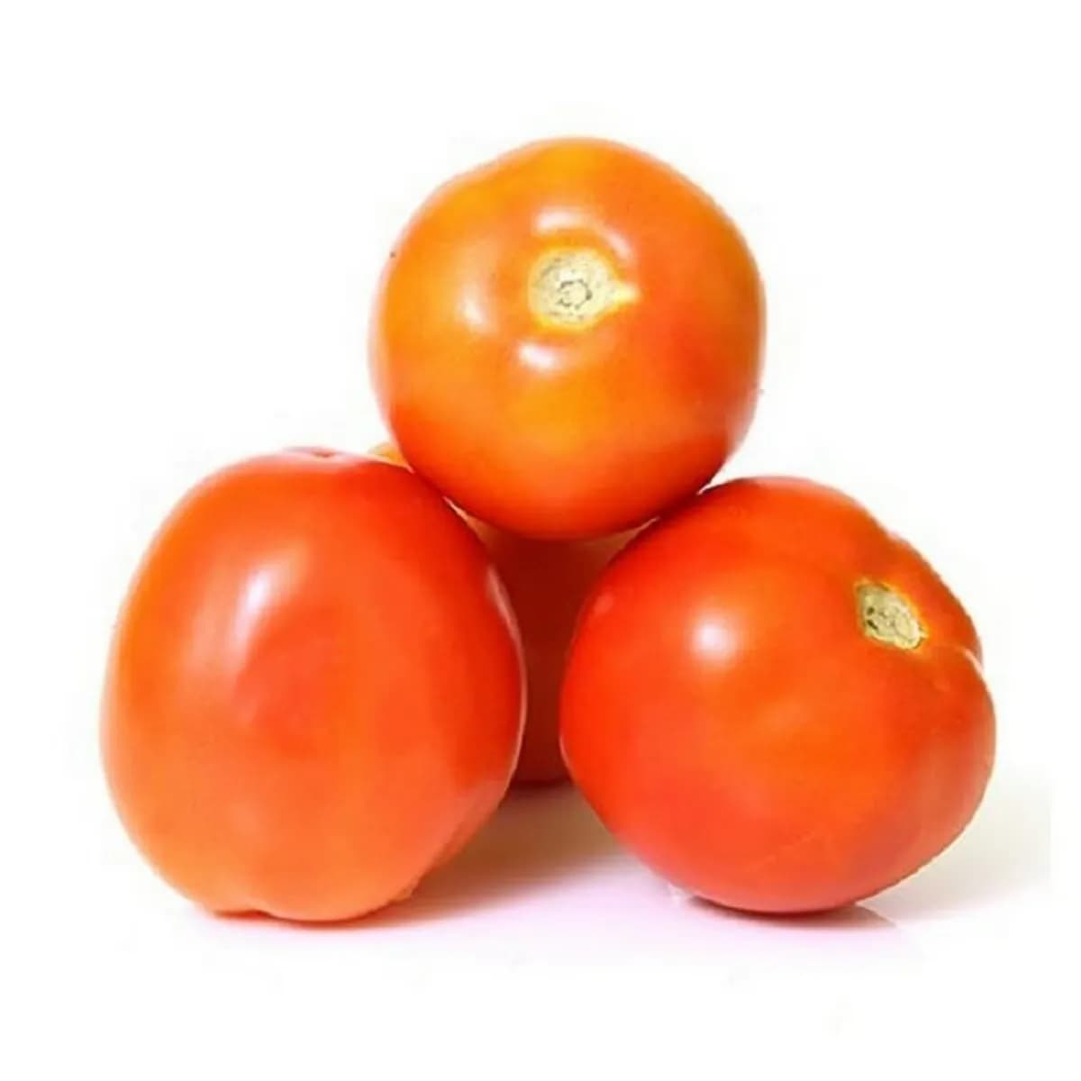 Tomato Oman 500G