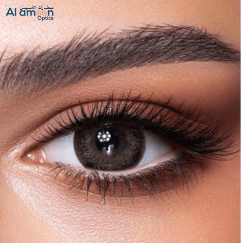 Bella One Day Ash Brown