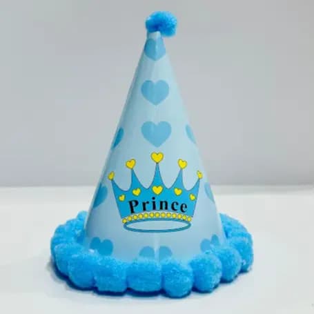 Printed Party Hat