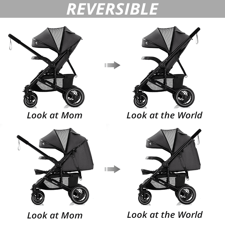 Teknum Reversible Moon Walk Stroller (Black)