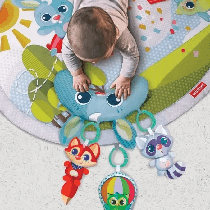 Winfun Babyspace Activity Gym