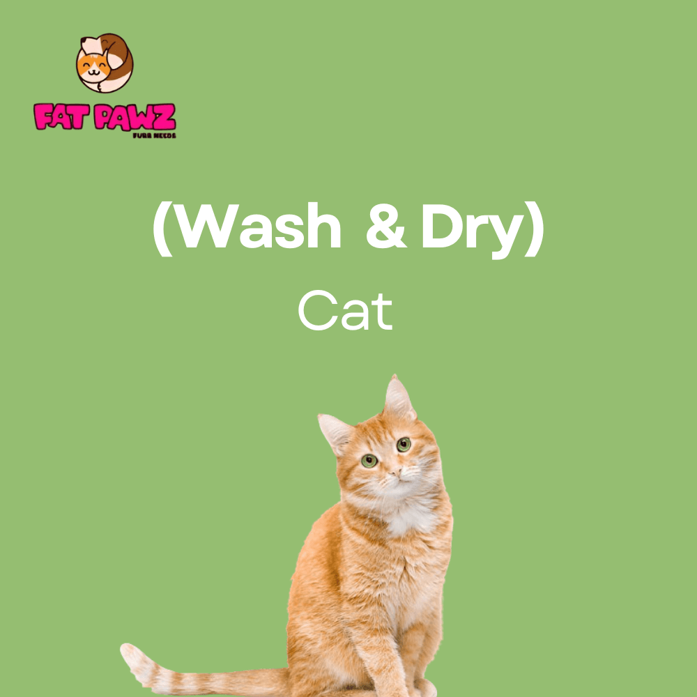 Cat (Wash and Dry Package)
