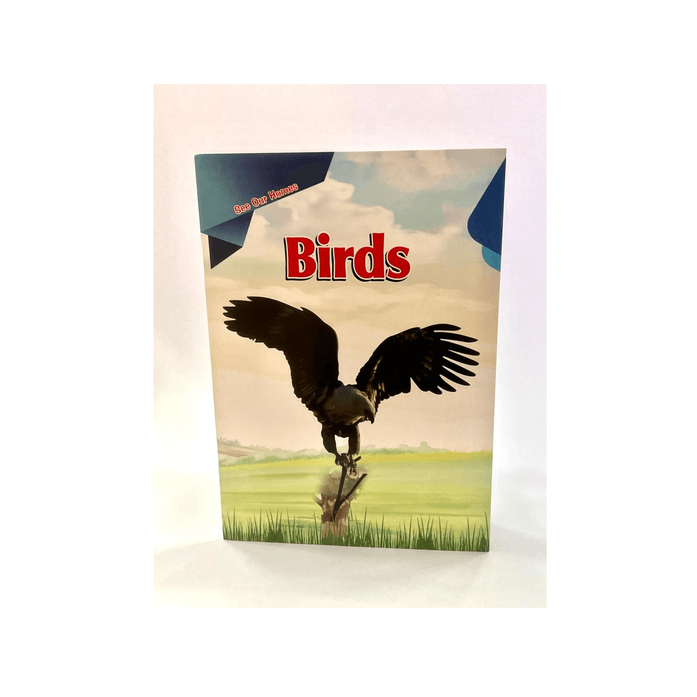 Alisun See Our Homes-birds Eng