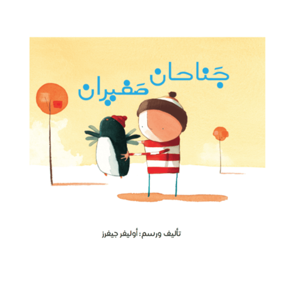 طائرة لا تطير