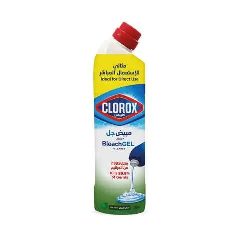 Clorox Mint Freshness Beach Gel and Cleaner 750ml