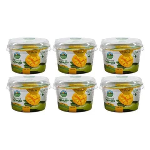 Mazzraty Yoghurt Mango Flavour 90g x Pack of 6