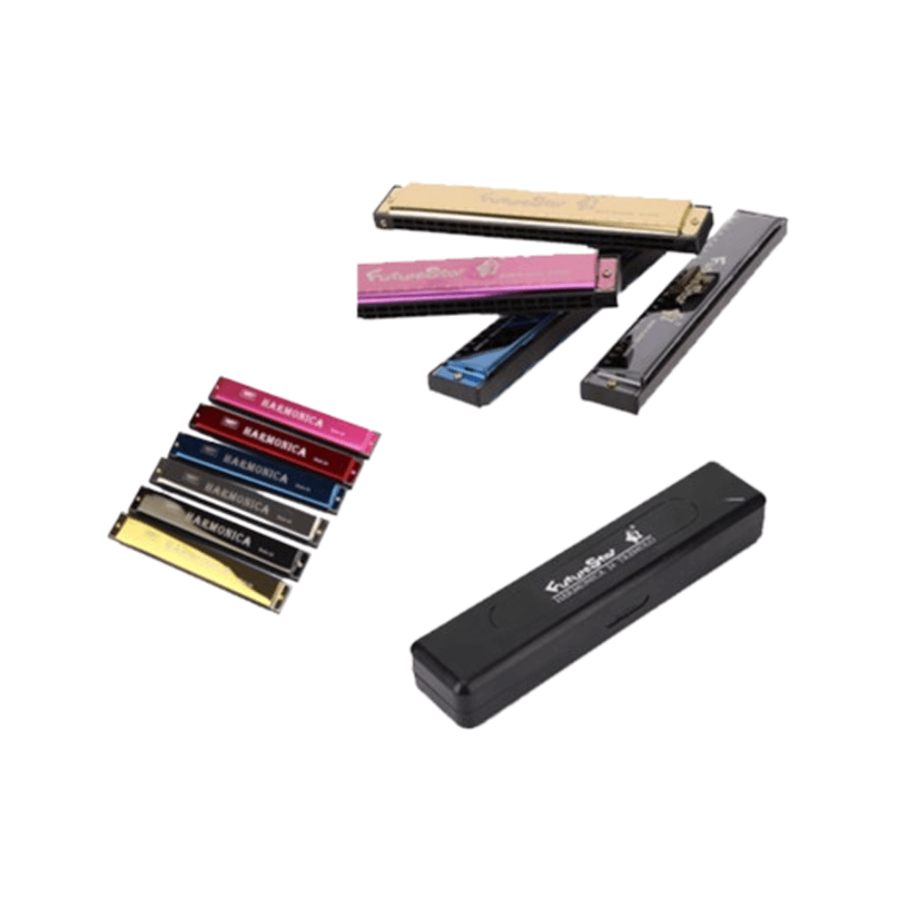 Mouth Organ Harmonica