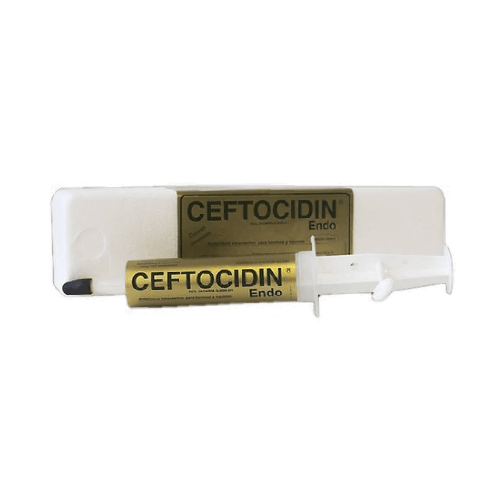 Ceftocidin Endo One Paste