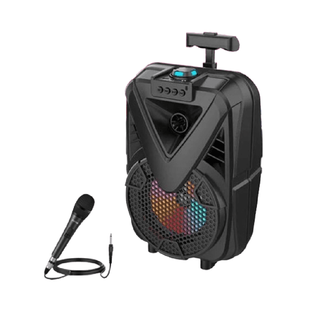 RMN Portable Outdoor LED Color Lamp Trolley Speaker