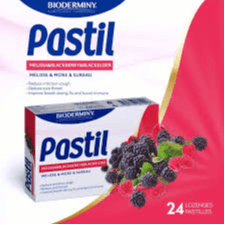 Pastil Lozenges Blackberry 24S