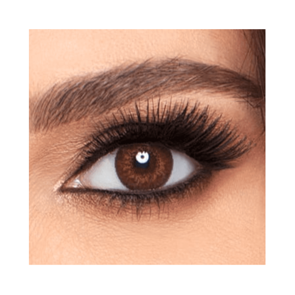 Alcon Freshlook 0.00 Power Lenses Brown 2Pcs 