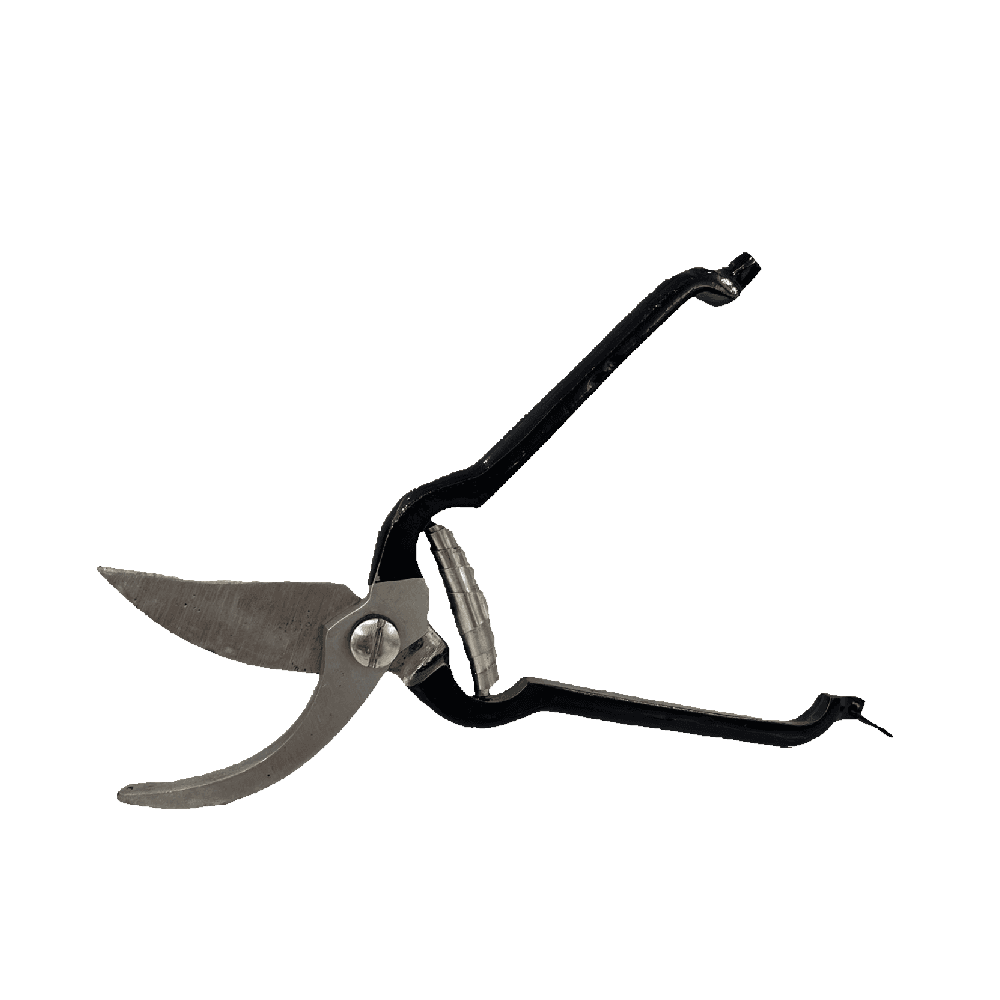 Foot Rot Shear Curved Blade Type