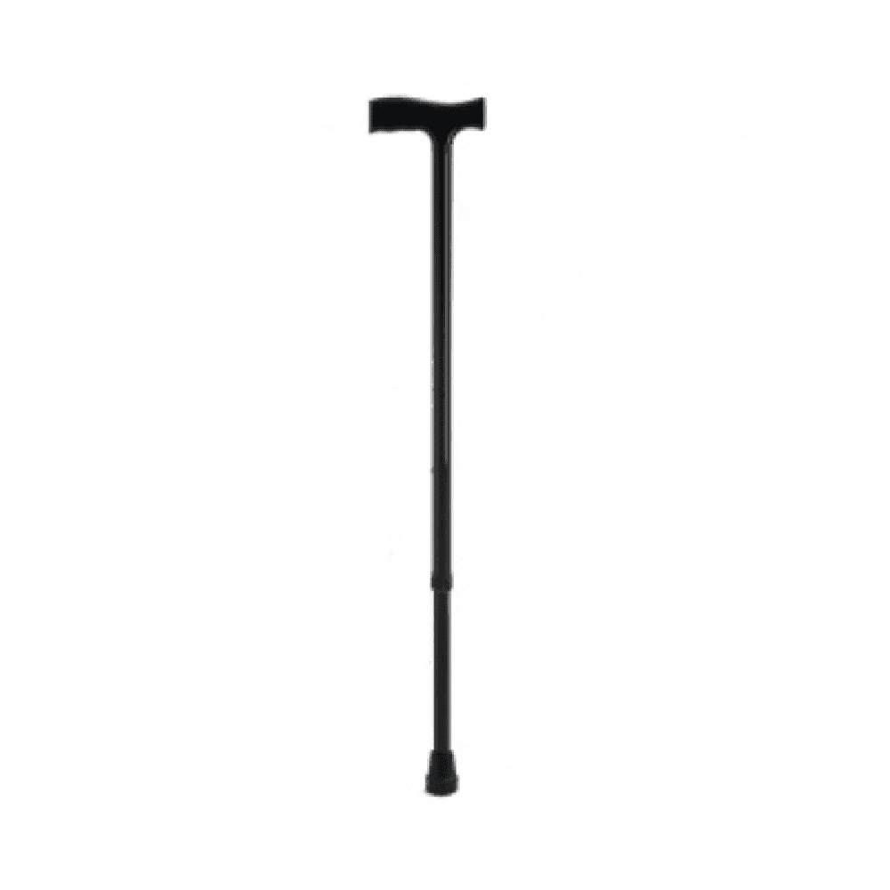 Walking Stick (Ca833L1)