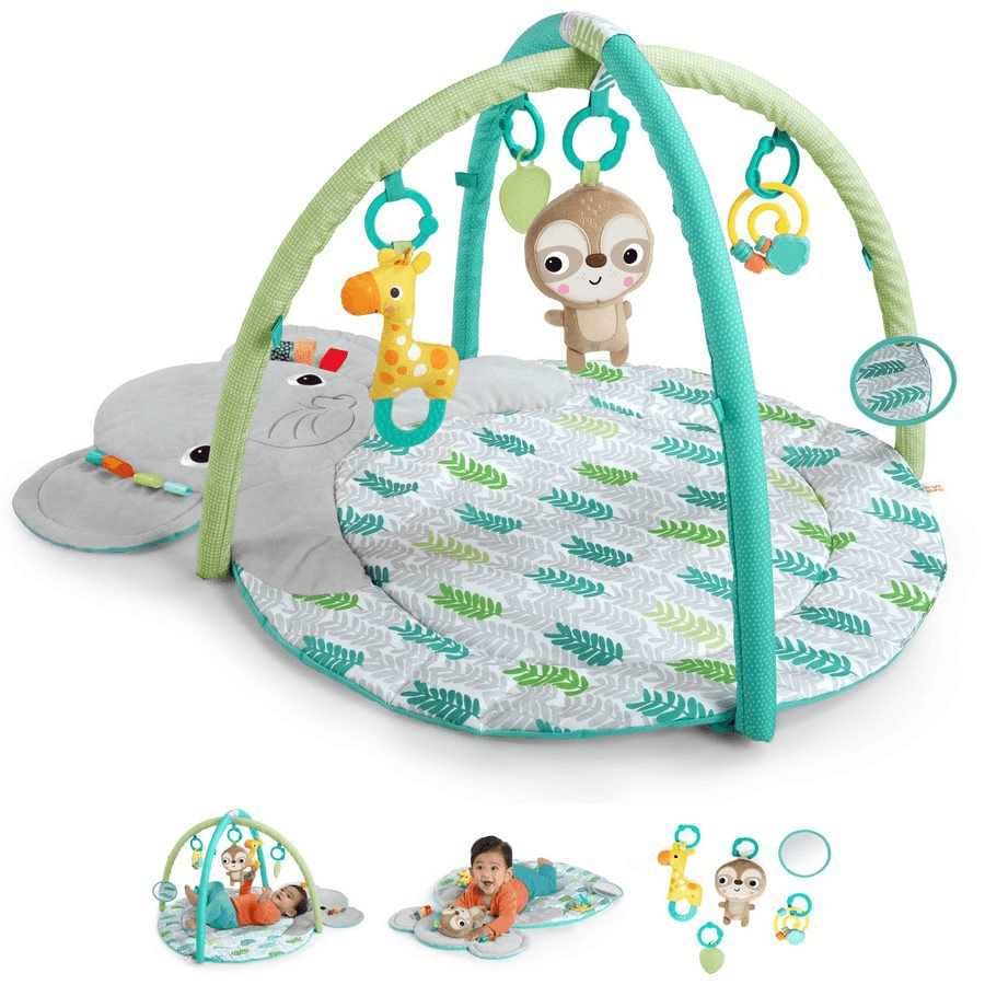 Bright Starts Hug N Cuddle Activity Gym
