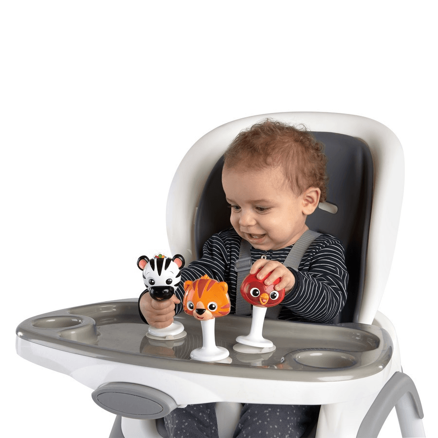 Baby Einstein Rattle & Jingle Trio Take-Along Toy Rattle Set