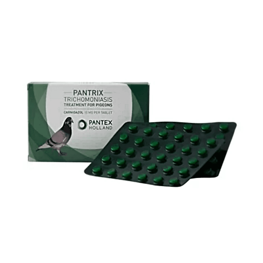 Pantex Holland Pantrix Pigeon Tablets 60'S