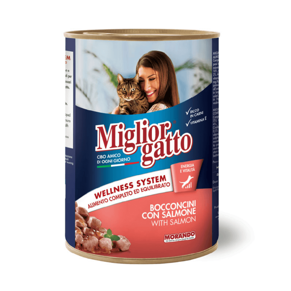 Miglior gatto Cat Food Salmon Flavor