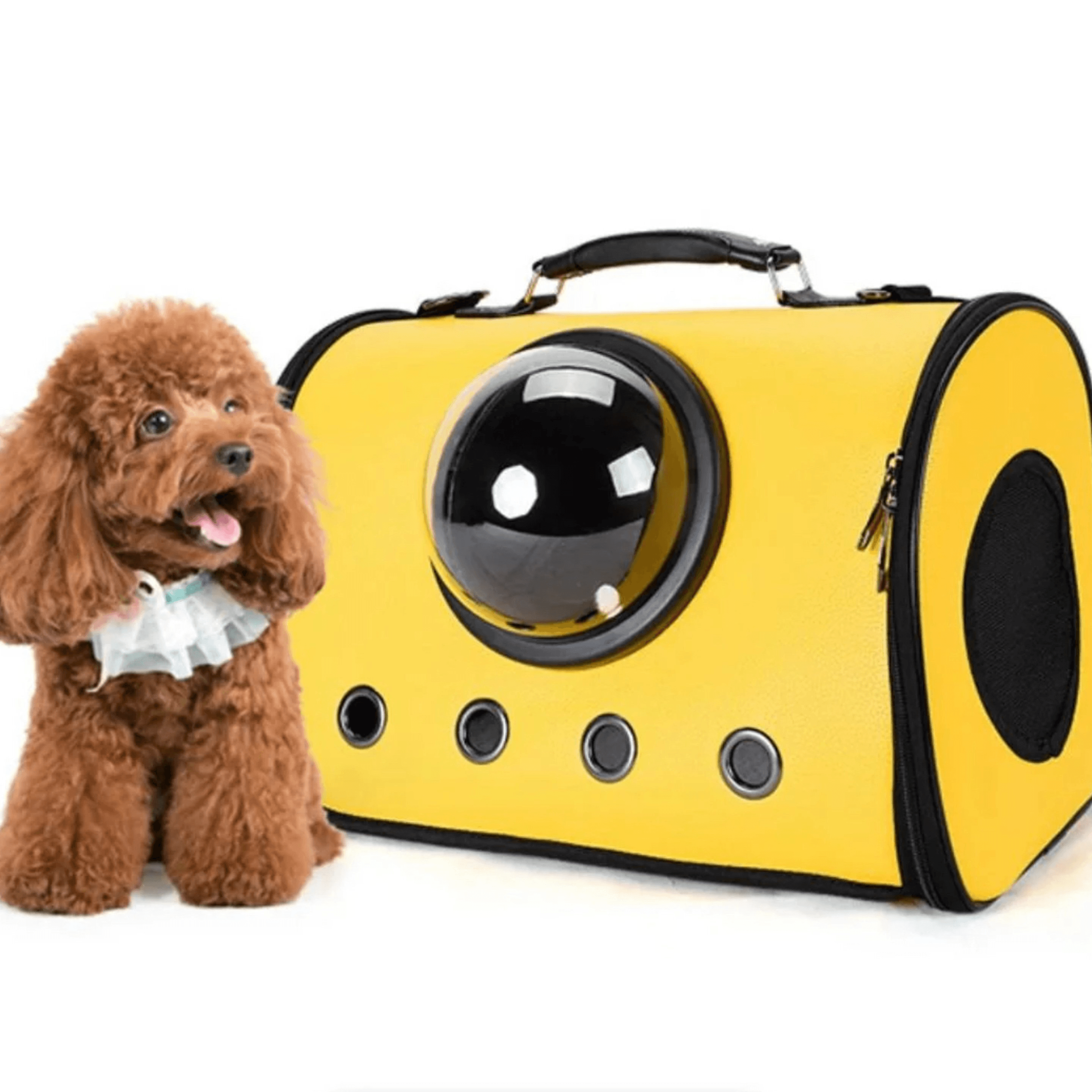 Hand Bag For Transporting Pets