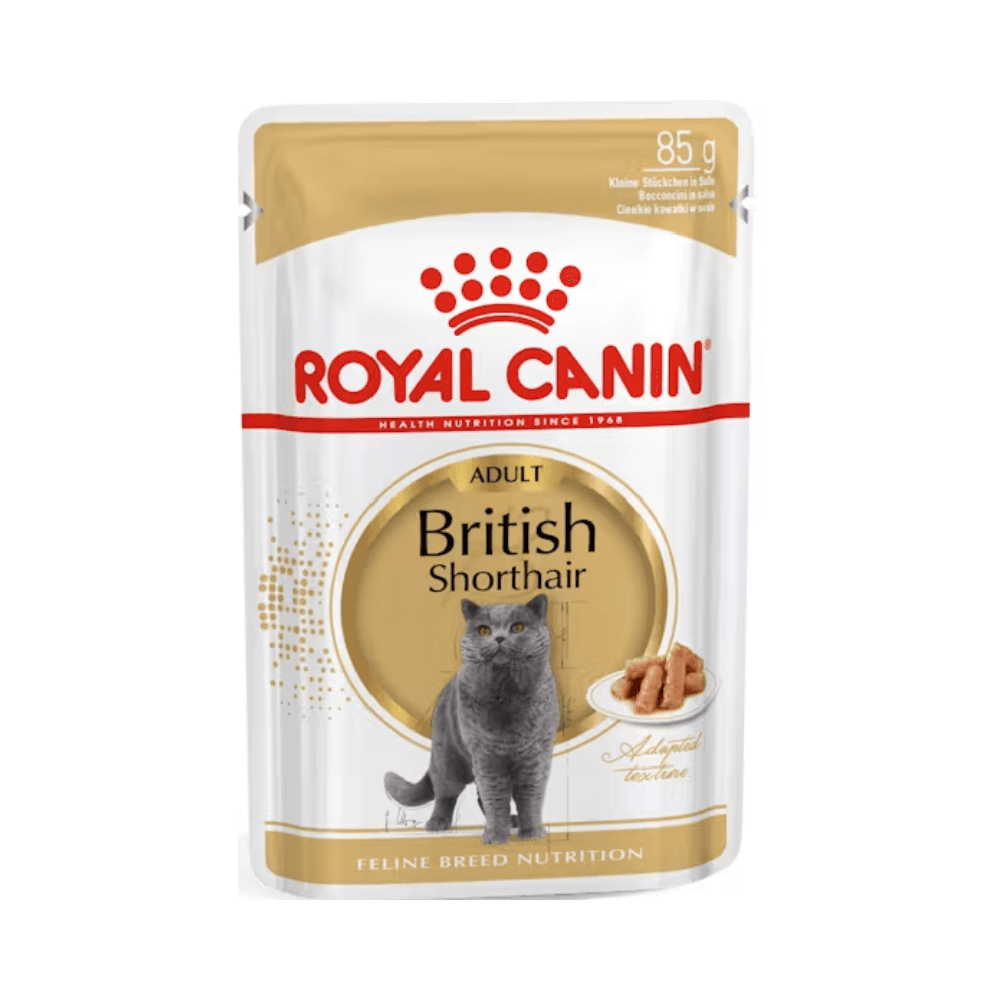 Royal Canin Adult British Shorthair Cat Wet Food